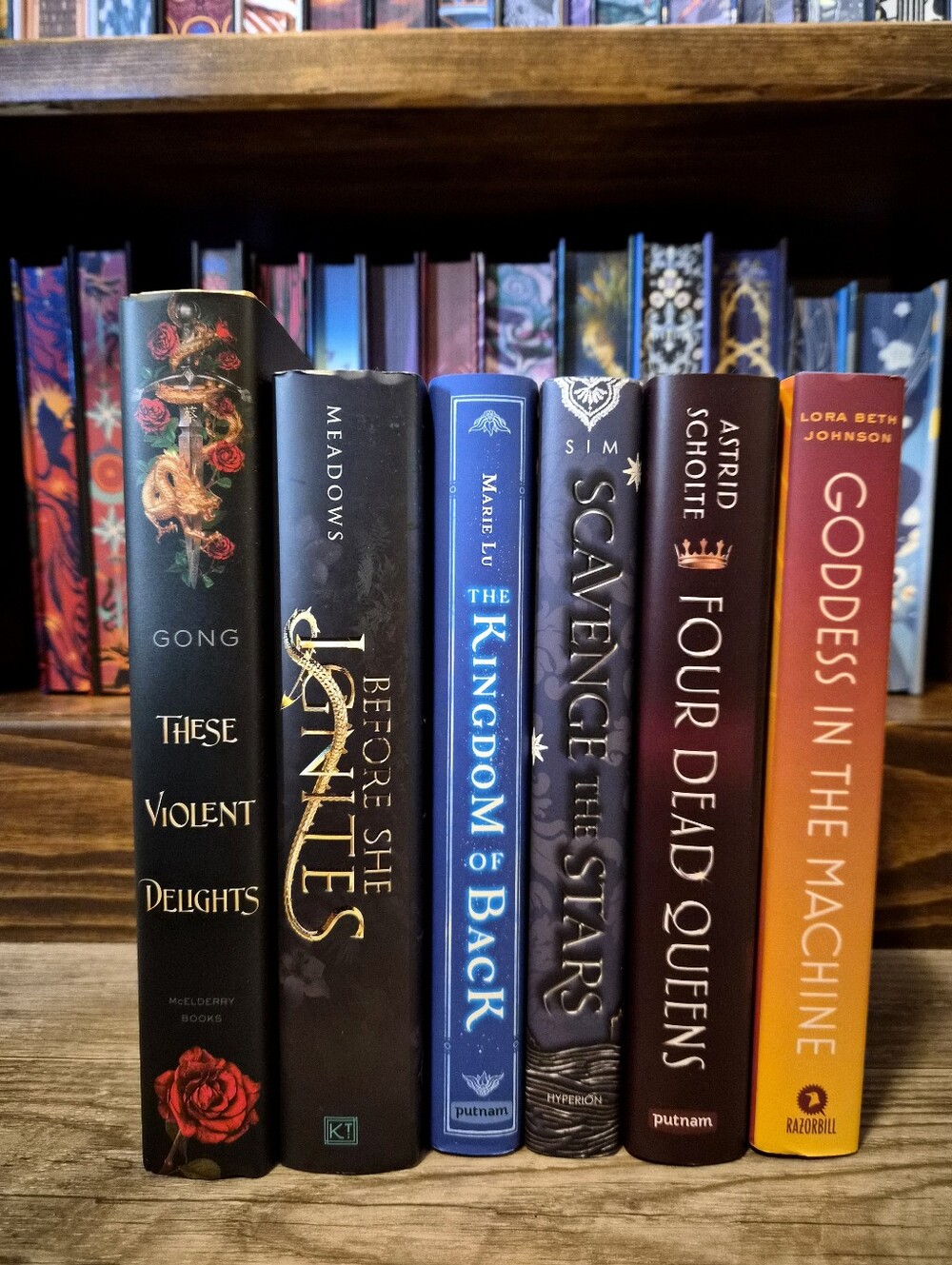 Owlcrate 6 Book Bundle